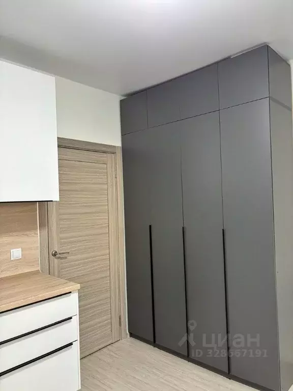 Студия Санкт-Петербург пос. Шушары, просп. Старорусский, 5к1 (21.5 м) - Фото 2