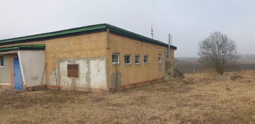 Помещение свободного назначения в Смоленская область, Краснинский ... - Фото 1