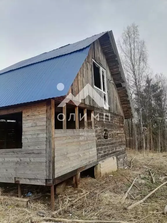 Дом в Вологодская область, пос. Васильевское  (47 м) - Фото 1