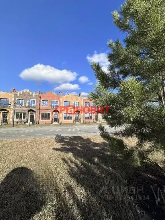 3-к кв. Новосибирская область, Новосибирский район, Мичуринский ... - Фото 0