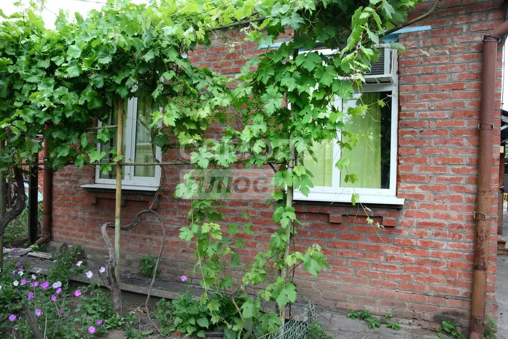 Дом в Краснодар, Глубинный переулок, 1 (65 м) - Фото 0