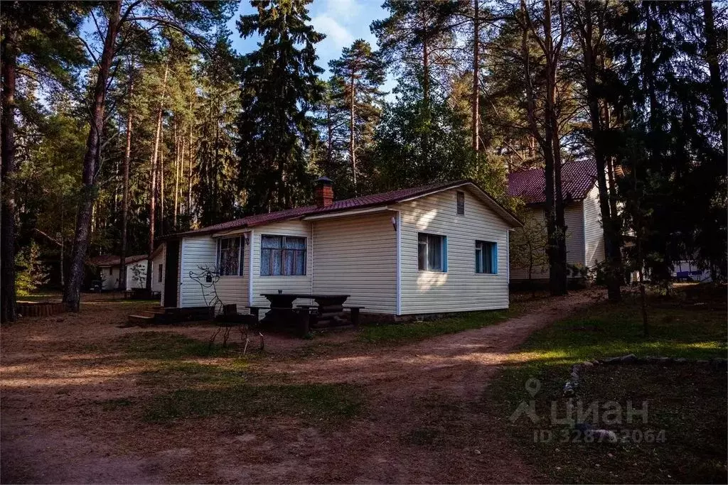 Дом в Псковская область, Гдов  (50 м) - Фото 2