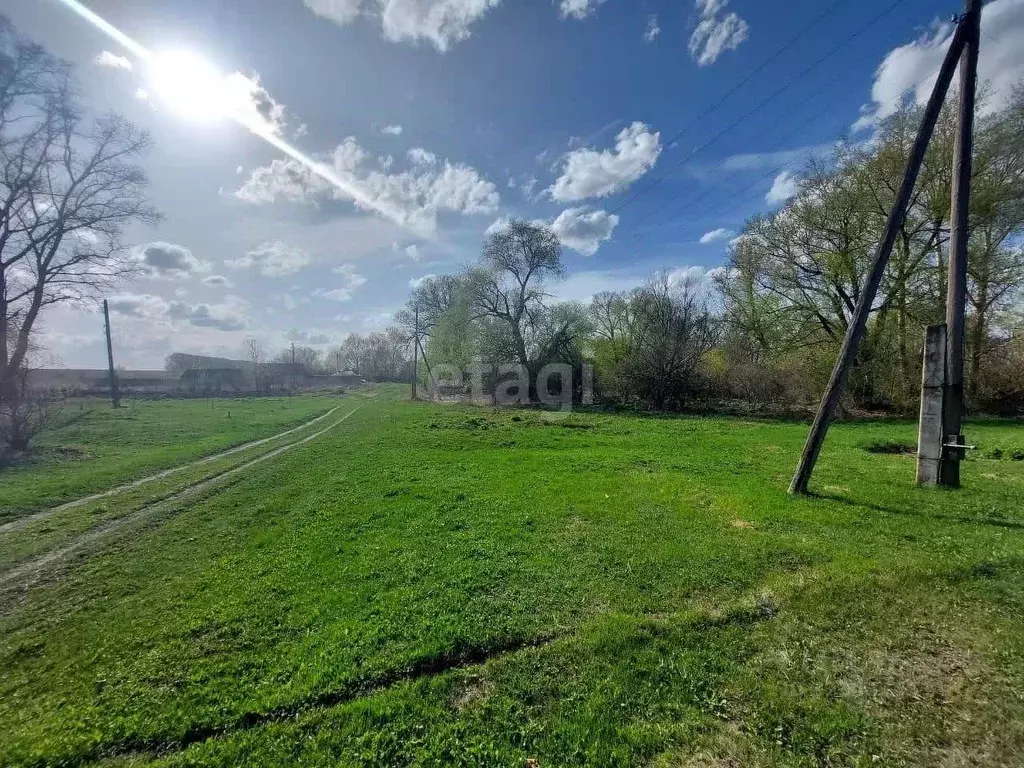 Участок в Мордовия, Ковылкинский район, Примокшанское с/пос, д. ... - Фото 1