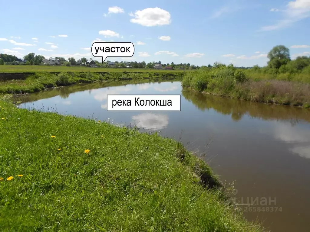 Участок в Владимирская область, Собинский муниципальный округ, д. ... - Фото 1