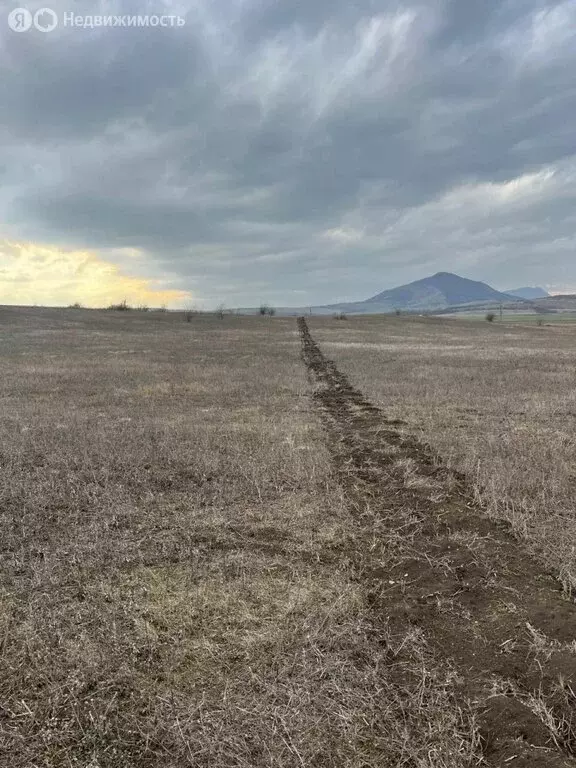 Участок в Ставропольский край, Предгорный муниципальный округ, хутор ... - Фото 1
