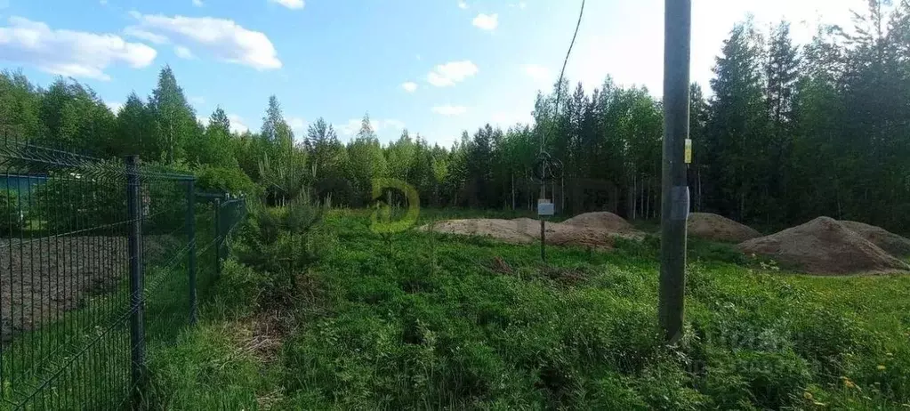 Участок в Коми, Корткеросский муниципальный район, Додзь муниципальное ... - Фото 2