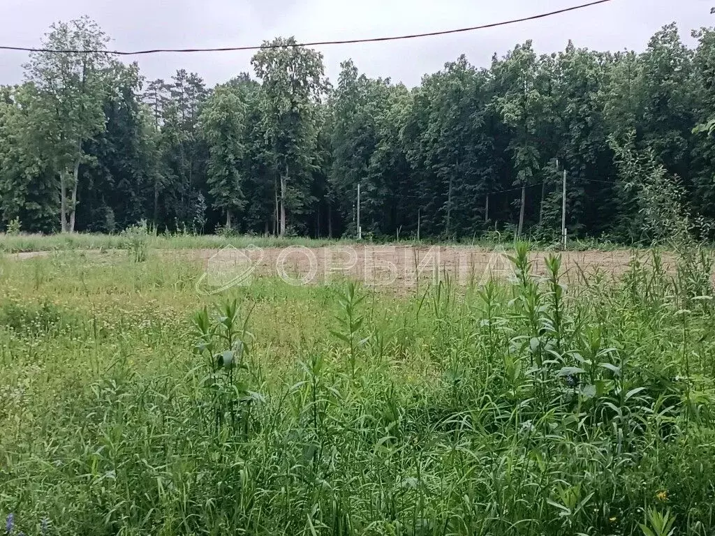 Участок в Тюменская область, Нижнетавдинский муниципальный округ, ... - Фото 2