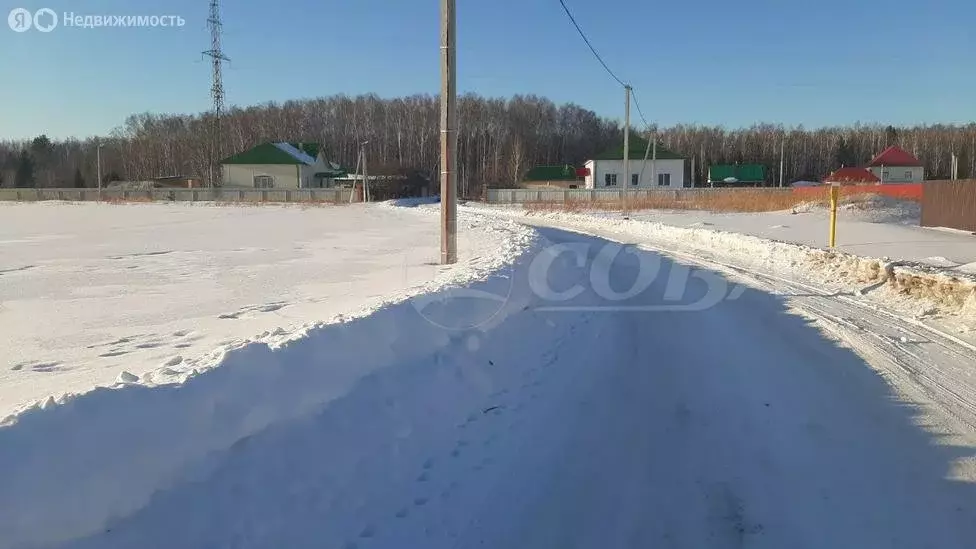 Участок в Тюменский район, деревня Молчанова (10 м) - Фото 1