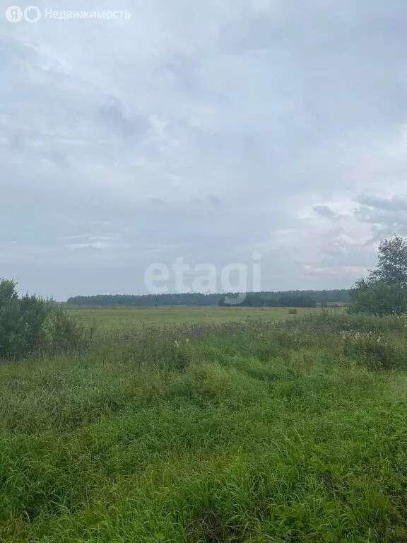 Участок в Ярославская область, Переславль-Залесский муниципальный ... - Фото 1