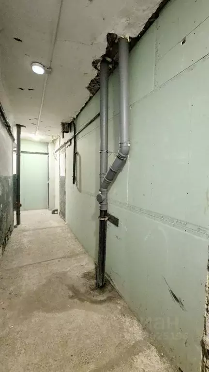 Студия Тамбовская область, Тамбов Советская ул., 88 (19.1 м) - Фото 2