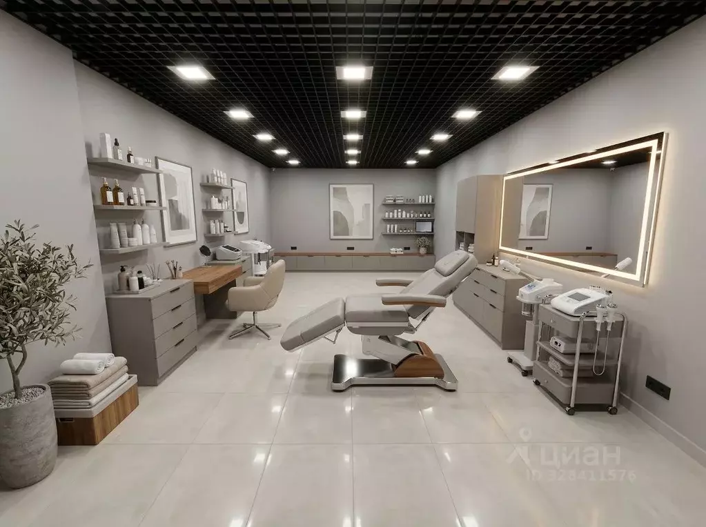 Помещение свободного назначения в Москва Зверинецкая ул., 6 (245 м) - Фото 2