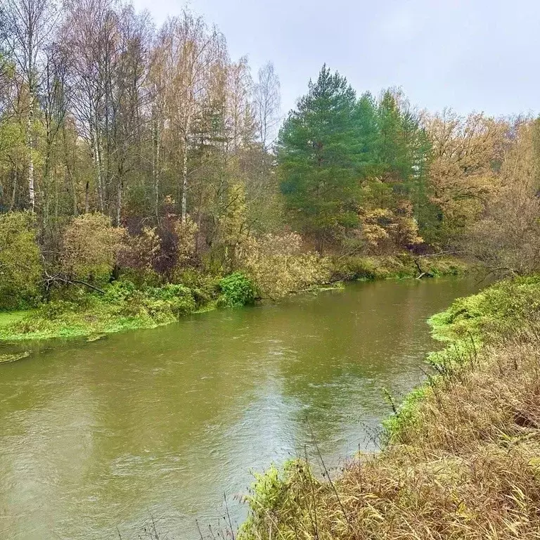 Участок в Московская область, Щелково городской округ, Река кп  (18.0 ... - Фото 0