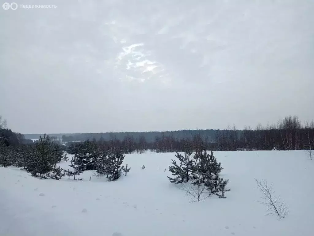 Участок в Нижегородская область, Богородский муниципальный округ, ... - Фото 2