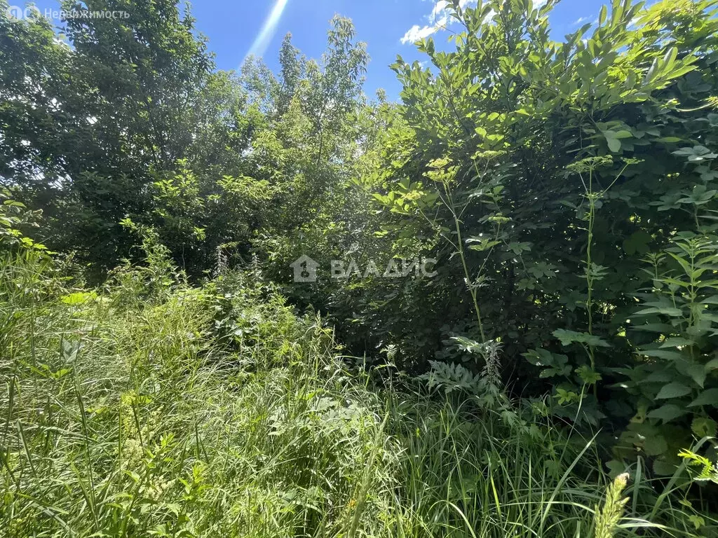 Участок в Пензенский район, Алферьевский сельсовет, село Казеевка, ... - Фото 1