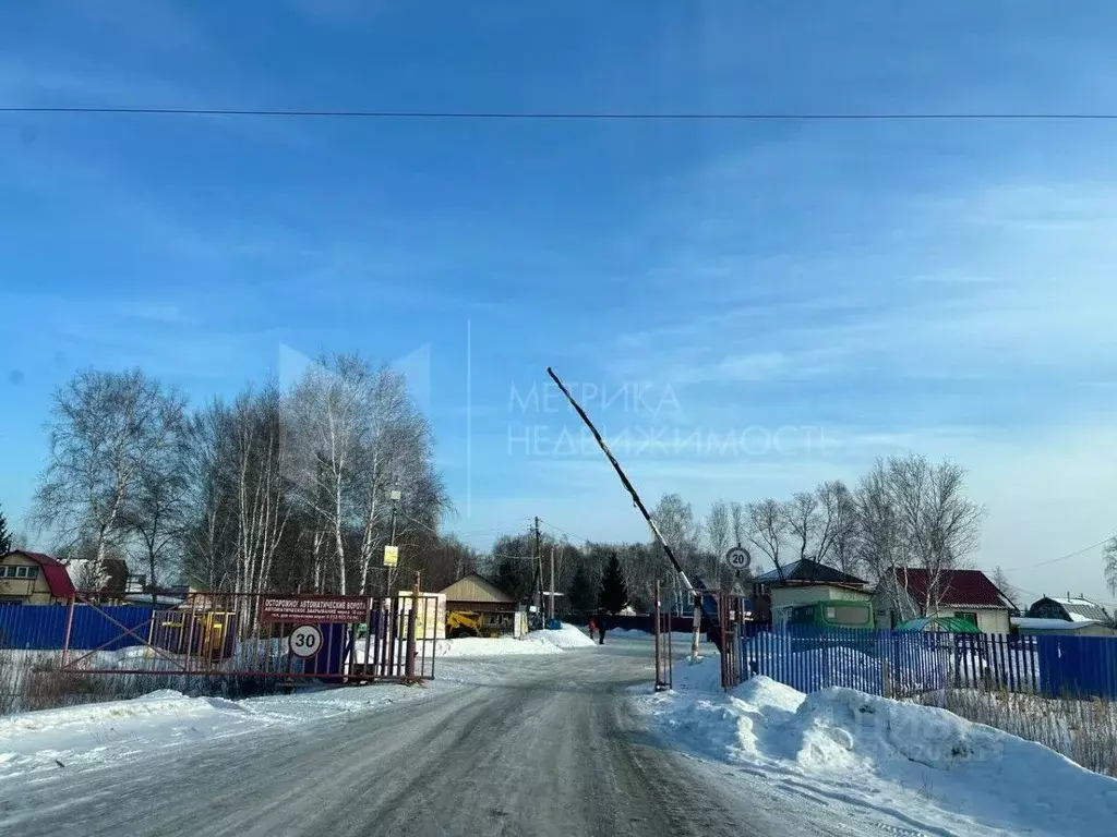 Участок в Тюменская область, Тюмень Якорь садовое товарищество, ул. ... - Фото 1