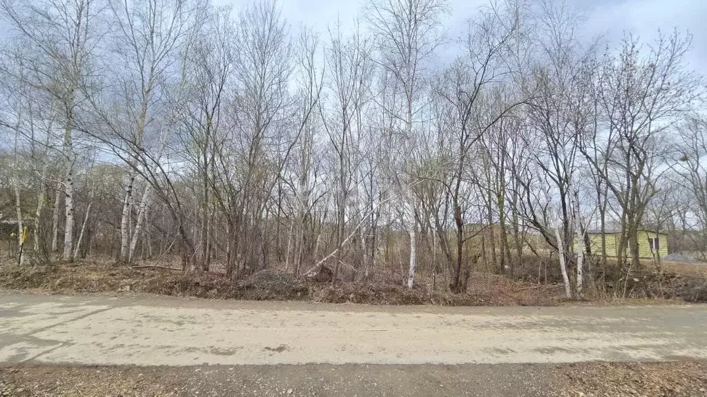 Участок в Хабаровский край, Хабаровский район, Ильинка с/пос, с. ... - Фото 1