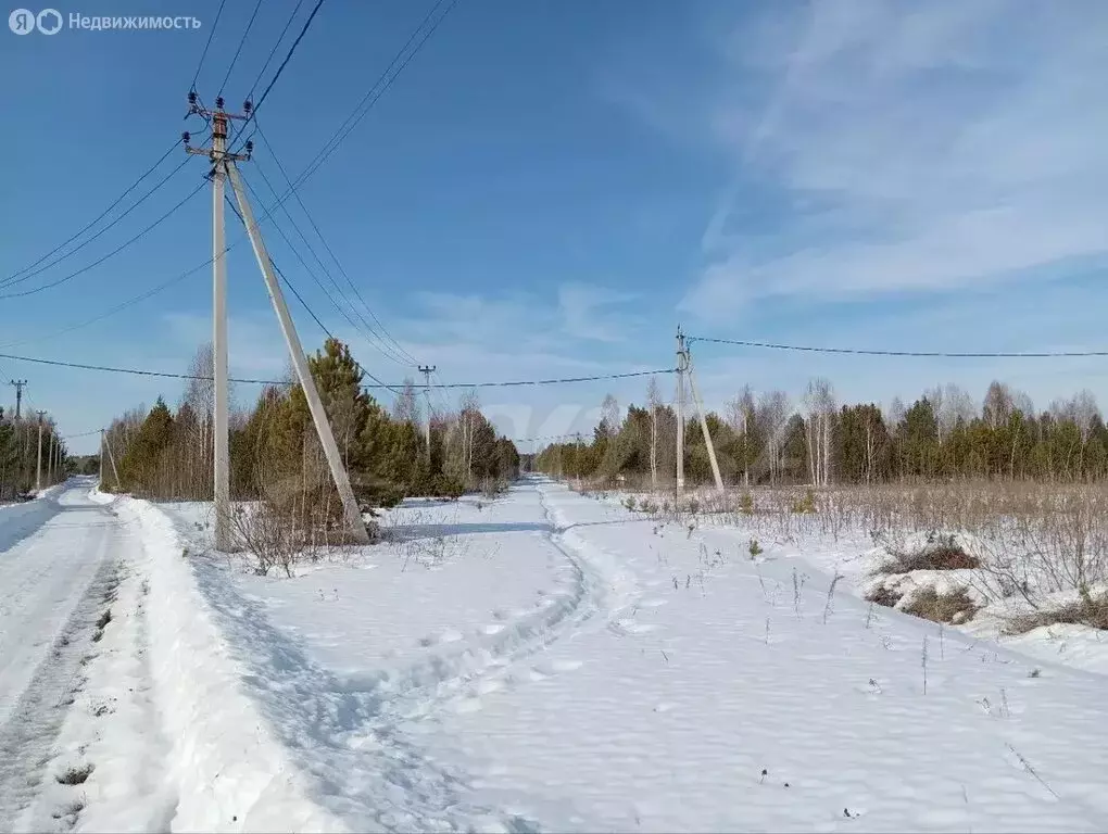 Участок в Тюменская область, Нижнетавдинский муниципальный округ, ... - Фото 2