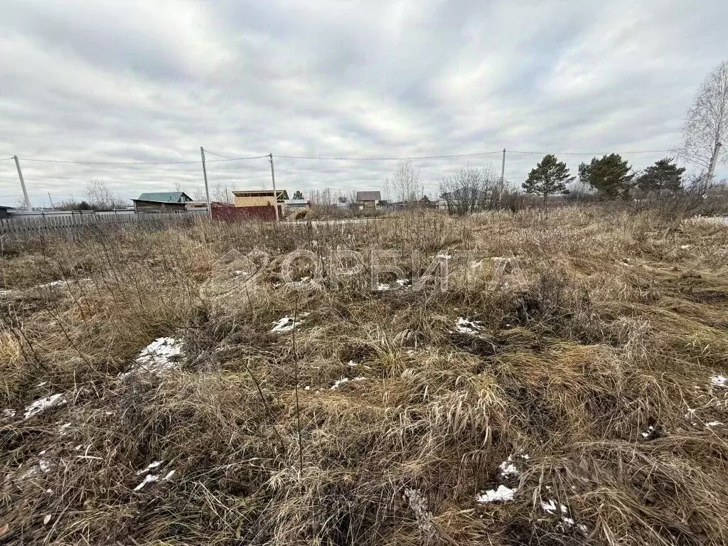 Участок в Тюменская область, Тюменский муниципальный округ, ... - Фото 2