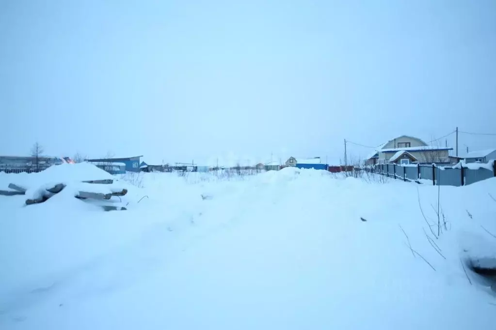 Участок в Ямало-Ненецкий АО, Новый Уренгой Виктория ДНТ,  (6.0 сот.) - Фото 0