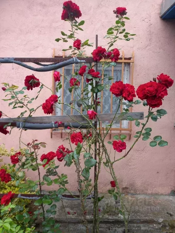 Дом в Калининградская область, Калининград Сад № 1 СНТ,  (56 м) - Фото 2