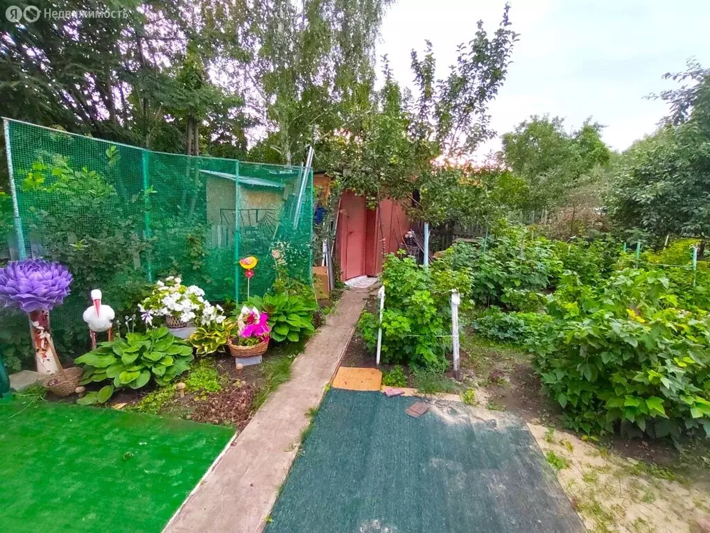 Дом в Омск, территория СОСН Золотой Ранет, 5-я аллея (35 м) - Фото 1