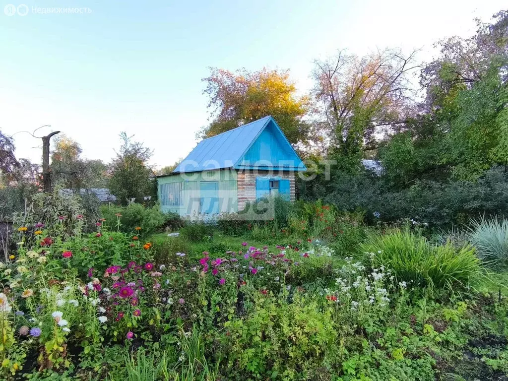 Дом в Искитим, садовое товарищество Мебельщик, 13 (30 м) - Фото 1