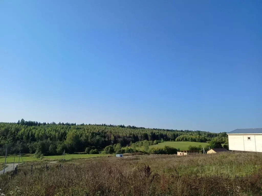 Участок в Московская область, Сергиево-Посадский городской округ, д. ... - Фото 1