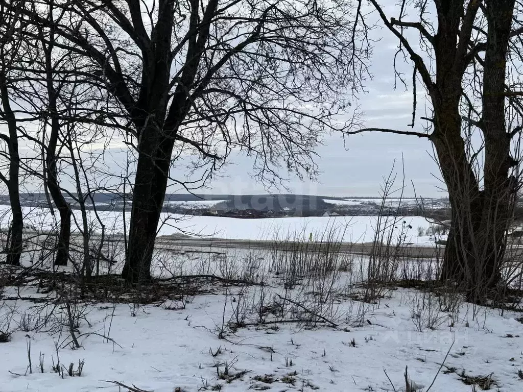 Участок в Белгородская область, Шебекинский муниципальный округ, пос. ... - Фото 2