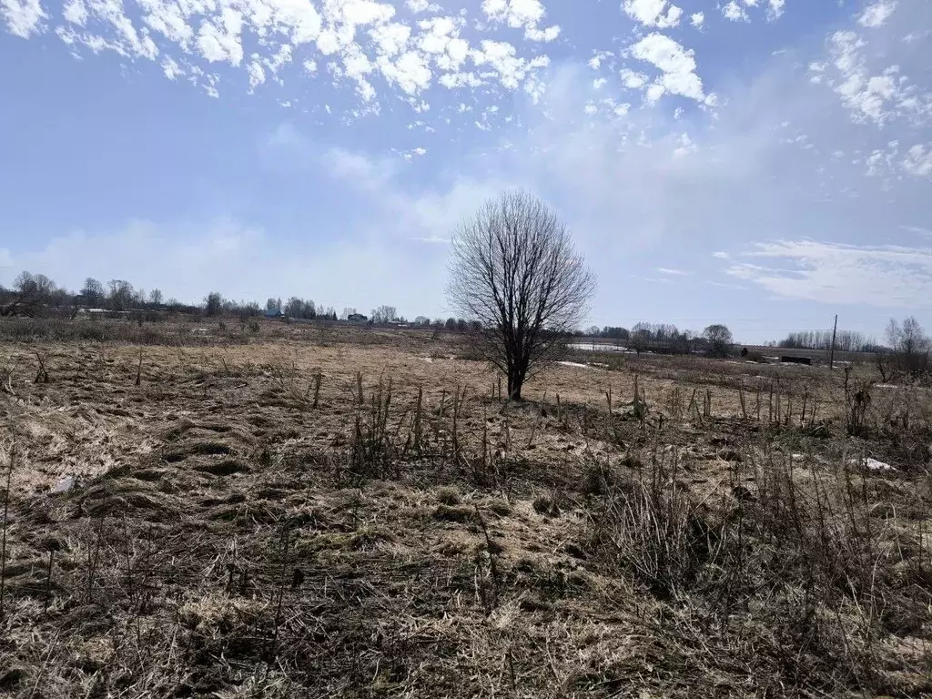 Участок в Московская область, Лотошино муниципальный округ, пос. ... - Фото 1