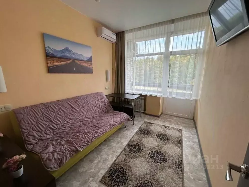 Комната Челябинская область, Чебаркуль Еловая ул., 62А (36.0 м) - Фото 2