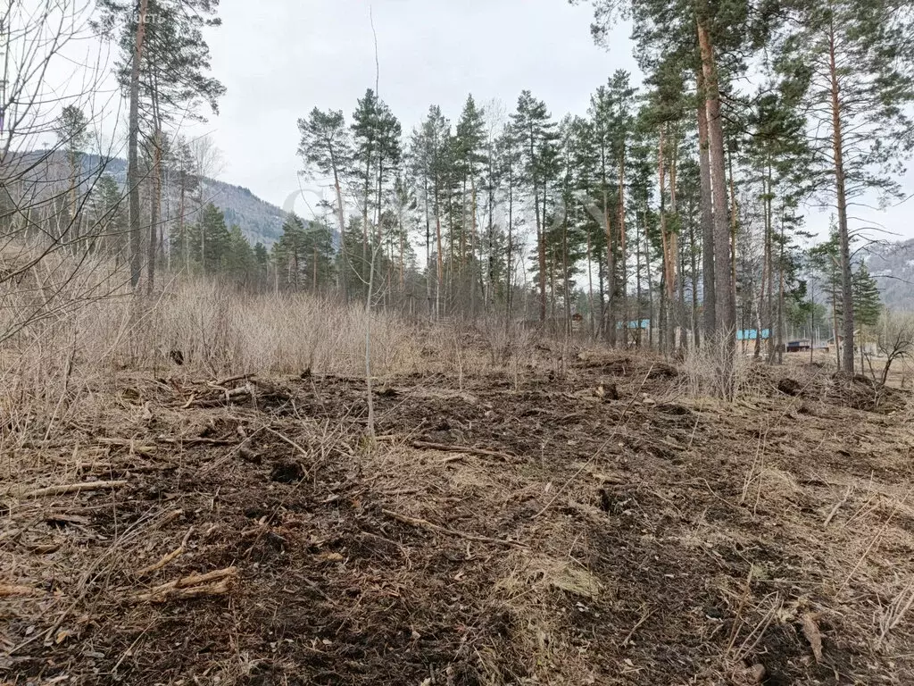 Участок в Манжерокское сельское поселение, село Озёрное, Лесная улица ... - Фото 2