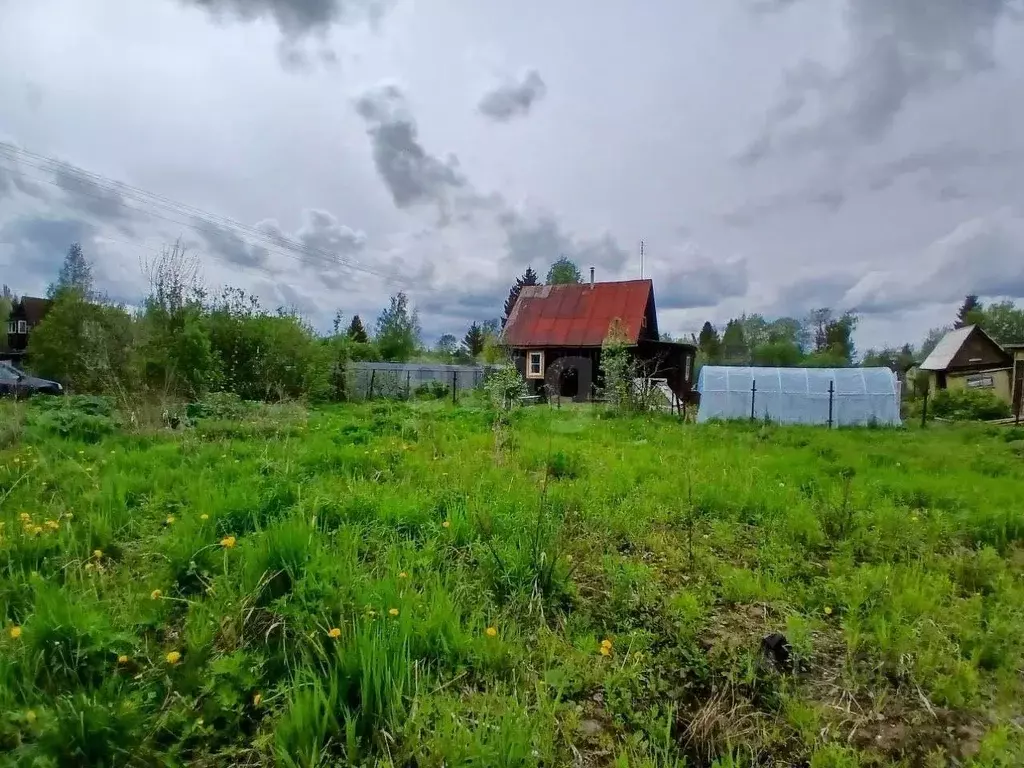 Участок в Ленинградская область, Волховский район, Кисельнинское ... - Фото 1