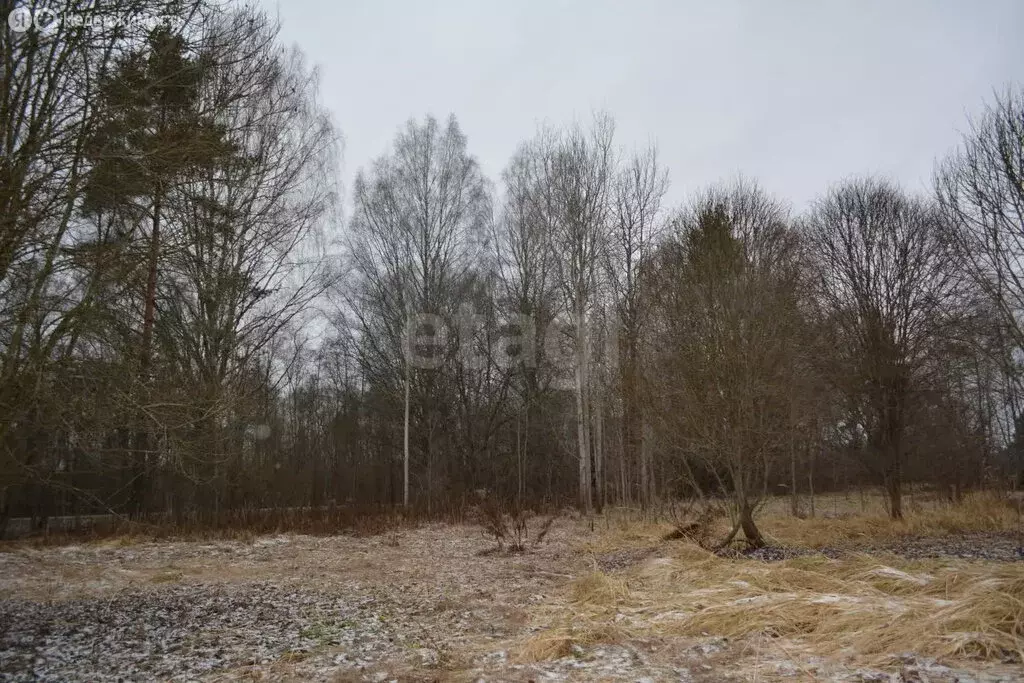 Участок в Псковская область, Порховский муниципальный округ, СНТ Медик ... - Фото 2