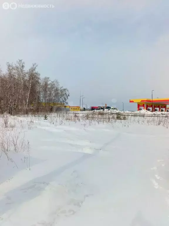 Участок в Красноярский край, Емельяновский муниципальный округ, ... - Фото 1