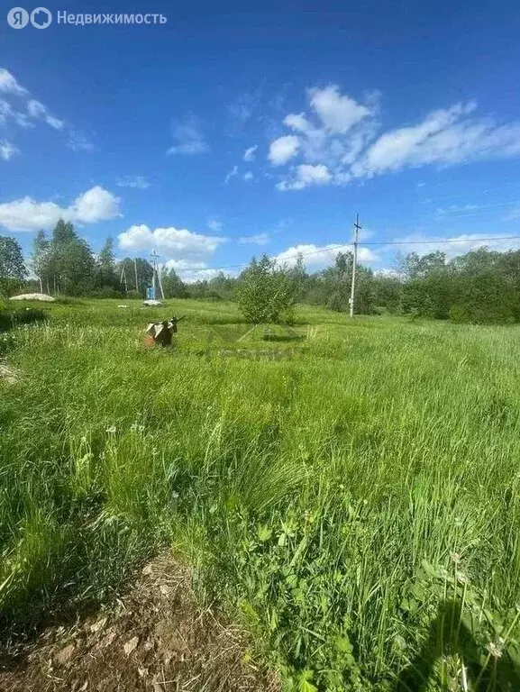 Дом в Новгородская область, Маловишерское городское поселение, деревня ... - Фото 2