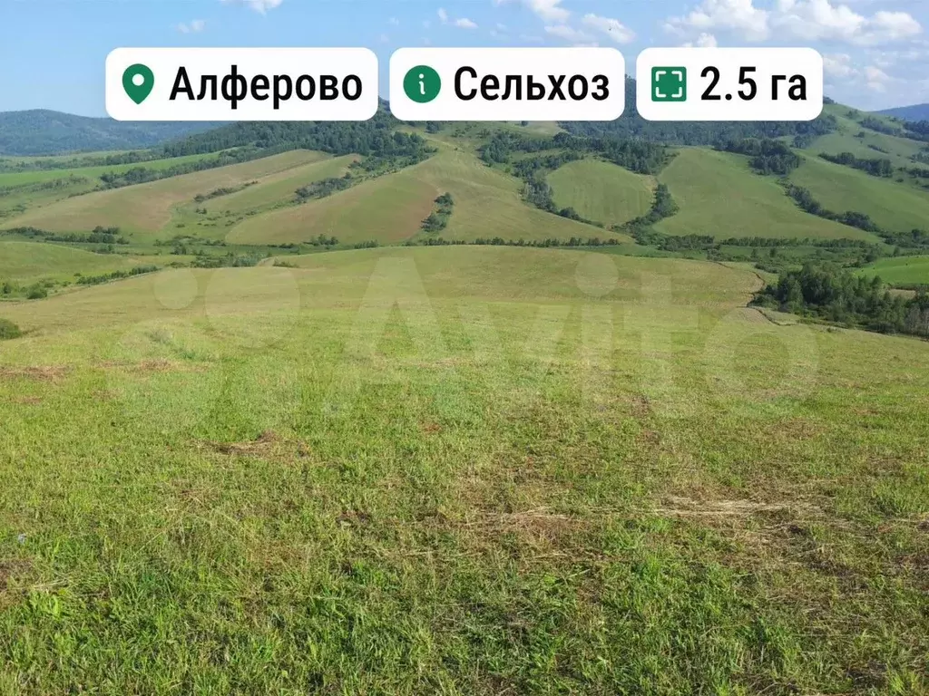 Участок 2,5 га (СНТ, ДНП) - Фото 0