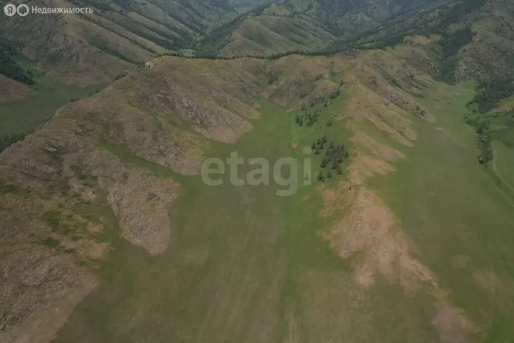 Участок в Усть-Канский район, село Кайсын (1350 м) - Фото 2