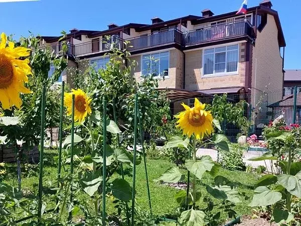 Таунхаус в Краснодарский край, Сочи ул. Романтиков, 8 (90 м) - Фото 1