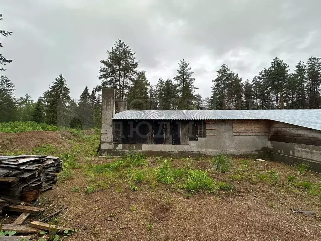 Участок в Новгородская область, Окуловка ул. Кропоткина (50.0 сот.) - Фото 1