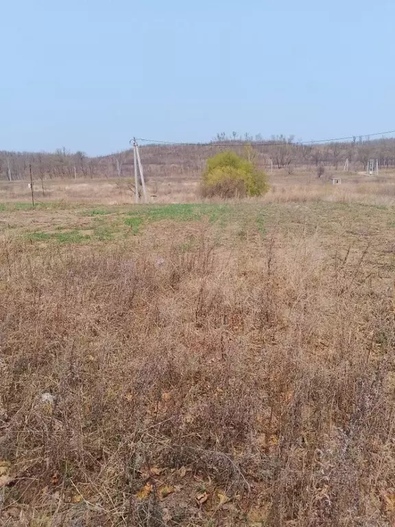 Участок в Амурская область, Благовещенск Игнатьевское ш. (10.28 сот.) - Фото 0