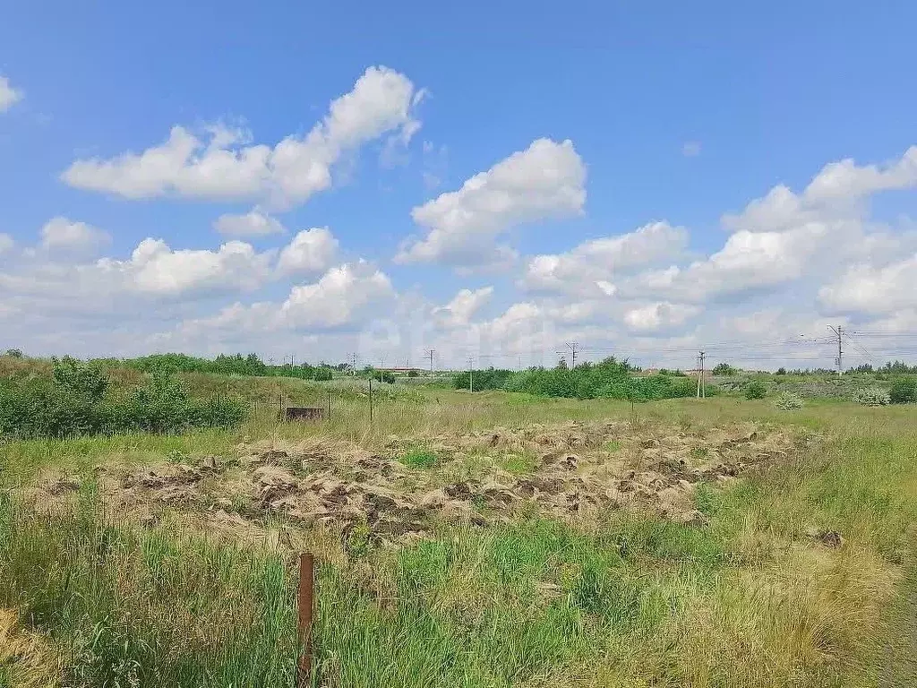 Участок в Челябинская область, Челябинск пос. Чуриловские Песочные ... - Фото 2