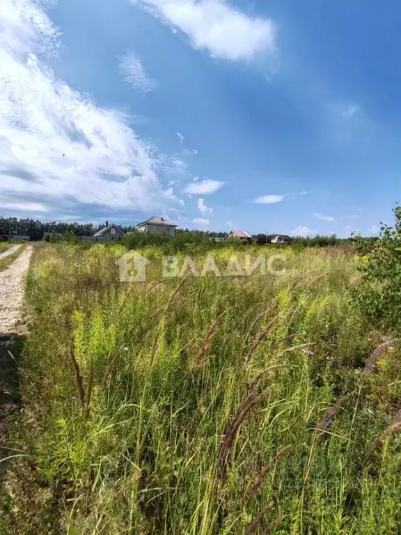 Участок в Нижегородская область, Богородский муниципальный округ, д. ... - Фото 2