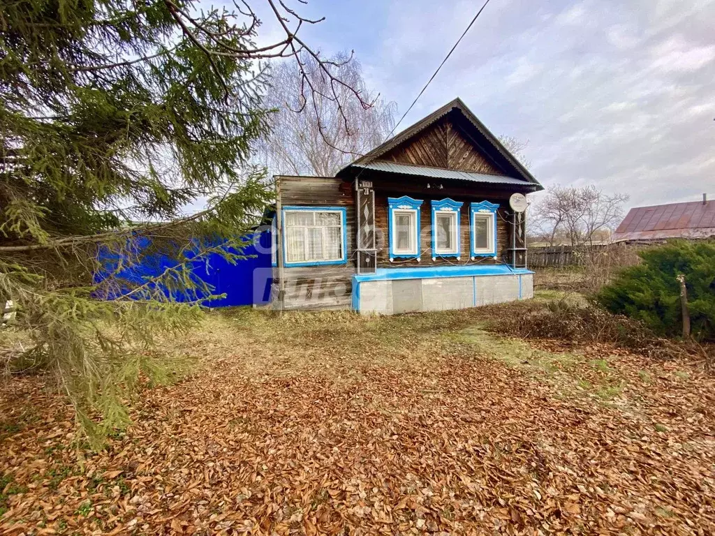 Дом в Самарская область, Сызранский район, с. Рамено Южная ул., 28 (34 ... - Фото 1