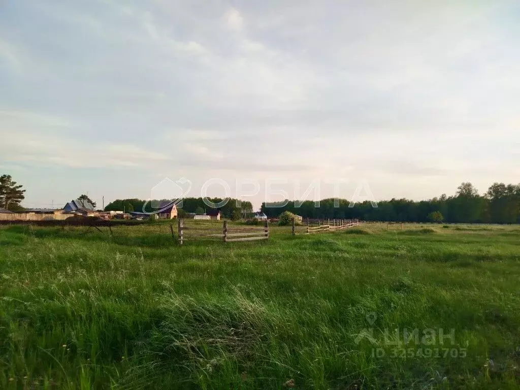 Участок в Тюменская область, Нижнетавдинский муниципальный округ, пос. ... - Фото 2