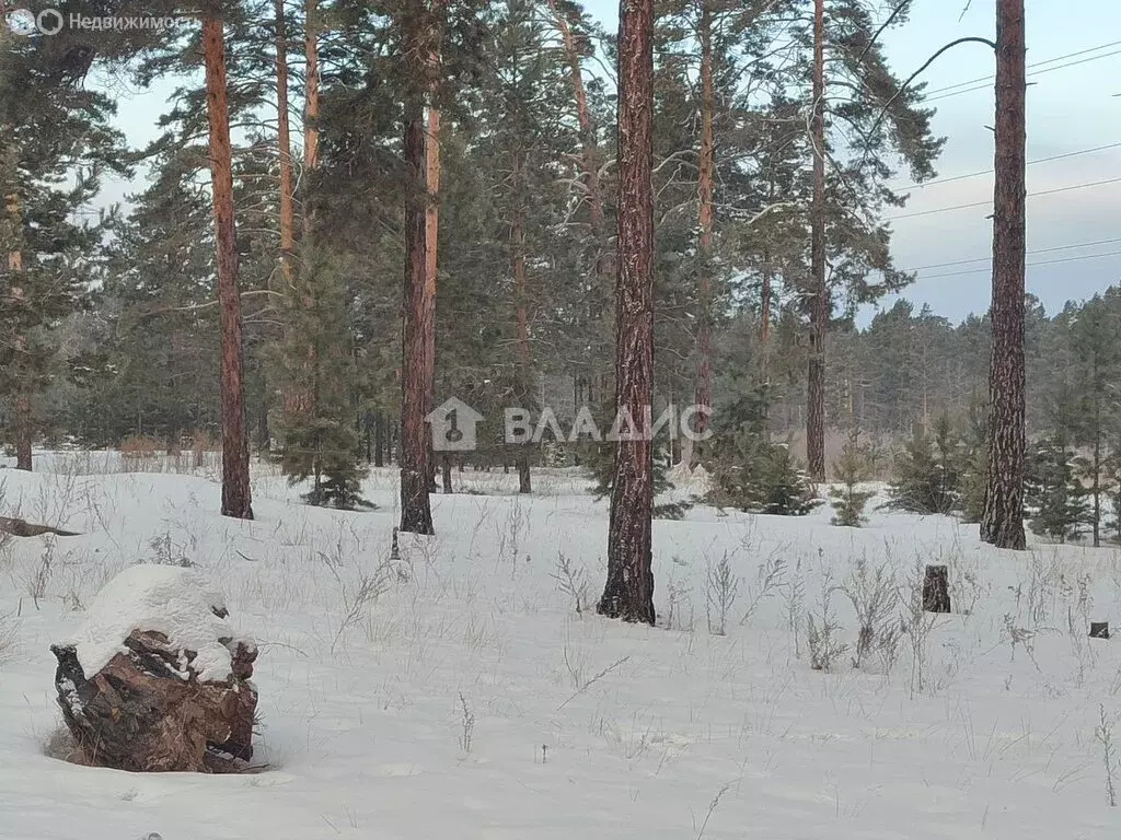 Участок в Улан-Удэ, микрорайон 148В (51 м) - Фото 0