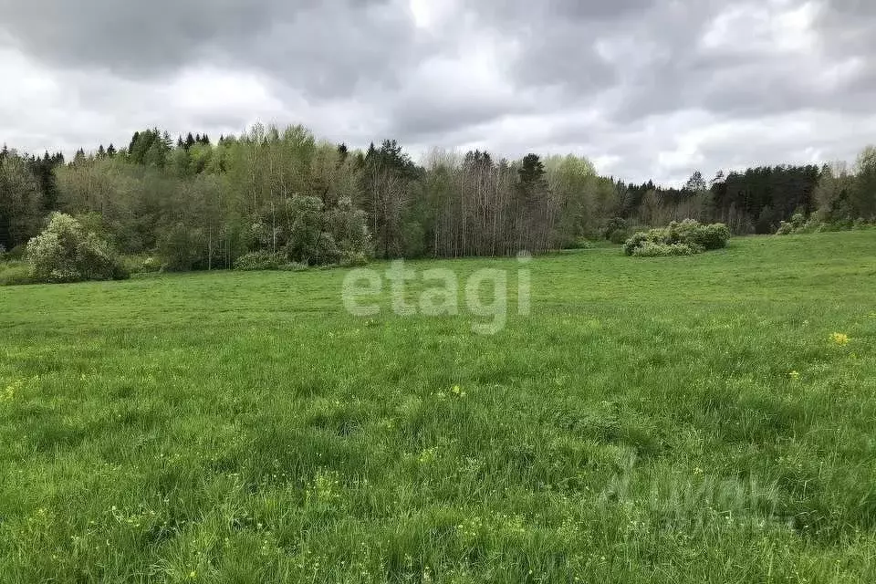 Участок в Пермский край, Пермский муниципальный округ, д. Полюдово  ... - Фото 2
