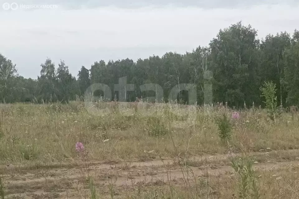 Участок в Челябинская область, Сосновский муниципальный округ, деревня ... - Фото 2
