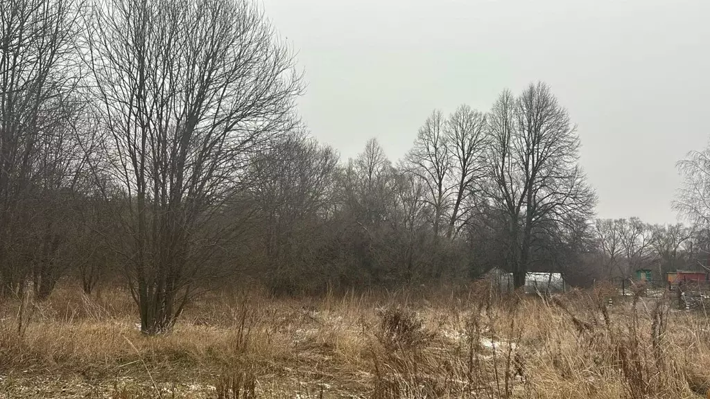 Участок в Московская область, Ступино городской округ, д. Дворяниново  ... - Фото 0