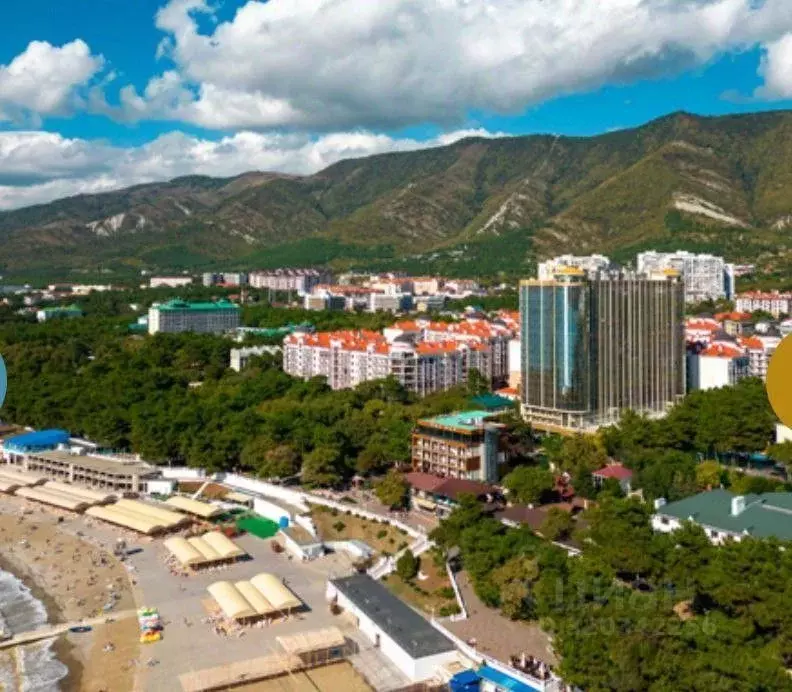 1-к кв. Краснодарский край, Геленджик ул. Мира, 40 (36.0 м) - Фото 1