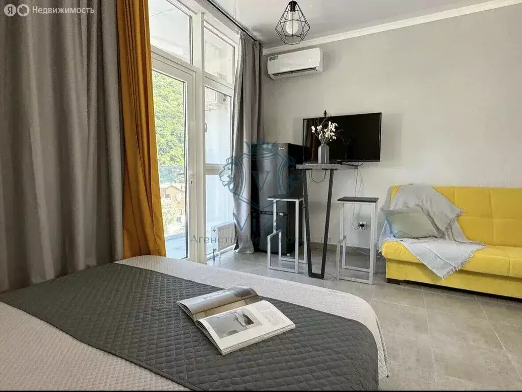 Квартира-студия: село Ольгинка, 3-й микрорайон, 22 (23.6 м) - Фото 2
